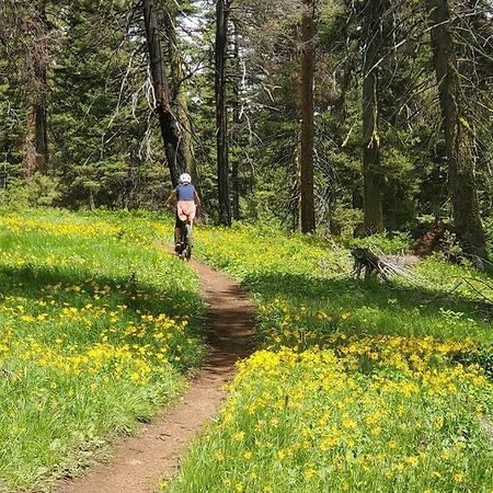 Mccall Mountain Getaway - Pet Friendly Exterior foto