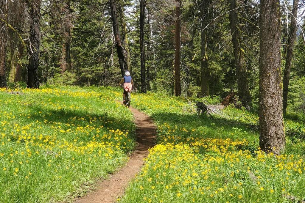 Mccall Mountain Getaway - Pet Friendly Exterior foto